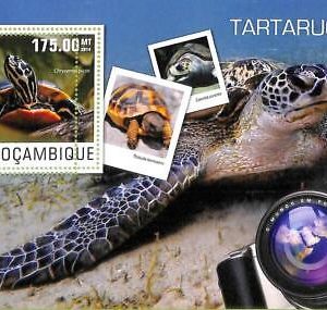 A8165 - MOCAMBIQUE - ERROR MISPERF Stamp Sheet -2014 Reptiles TURTLES
