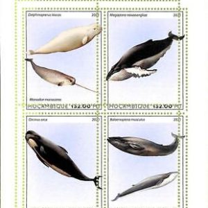 A8154 - MOCAMBIQUE - ERROR MISPERF Stamp Sheet -2021 WHALES