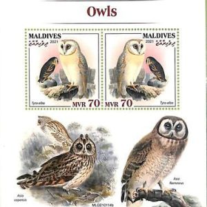 A8112 - MALDIVES -  Stamp Sheet -2021  BIRDS  Owls