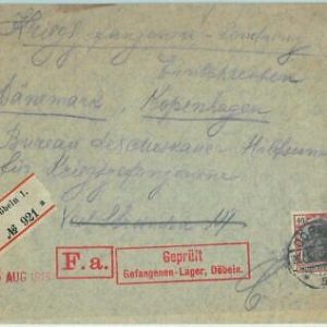67572 -  GERMANY - Postal History -  Cover from DUBELN  LAGER  1915
