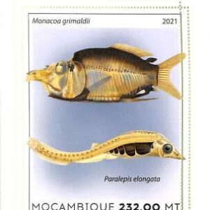 A8161 - MOCAMBIQUE - ERROR MISPERF Stamp Sheet -2021 MARINE LIFE Fishes