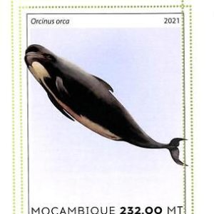 A8158 - MOCAMBIQUE - ERROR MISPERF Stamp Sheet -2021 WHALES