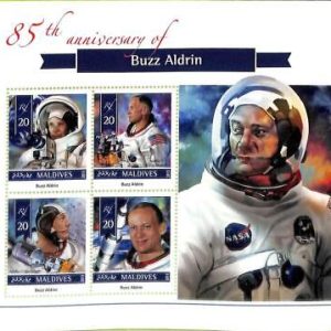 A8129 - MALDIVES -  Stamp Sheet -2015 SPACE Buzz Aldrin