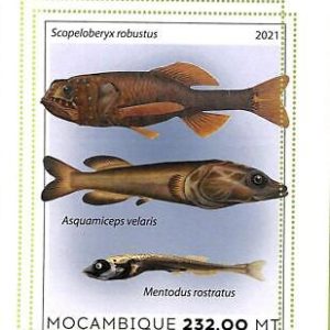 A8156 - MOCAMBIQUE - ERROR MISPERF Stamp Sheet -2021 MARINE LIFE Fishes