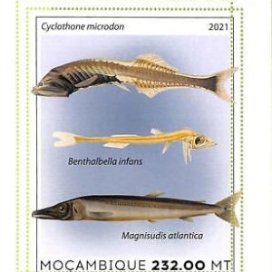 A8162 - MOCAMBIQUE - ERROR MISPERF Stamp Sheet -2021 MARINE LIFE Fishes
