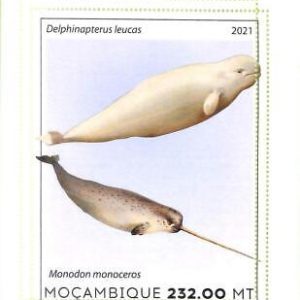 A8163 - MOCAMBIQUE - ERROR MISPERF Stamp Sheet -2021 WHALES