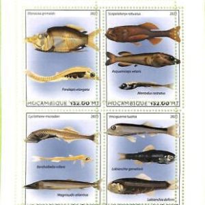 A8155 - MOCAMBIQUE - ERROR MISPERF Stamp Sheet -2021 MARINE LIFE Fishes