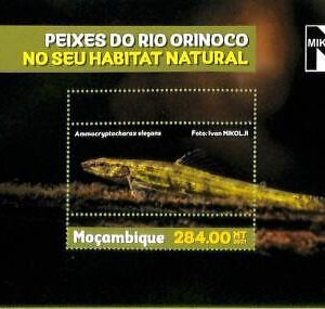 A8167 - MOCAMBIQUE - ERROR MISPERF Stamp Sheet -2021 MARINE LIFE Fishes