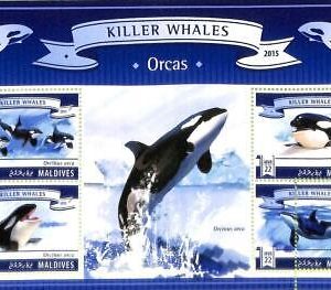 A8115 - MALDIVES -  ERROR MISPERF Stamp Sheet -2015 Killer whales