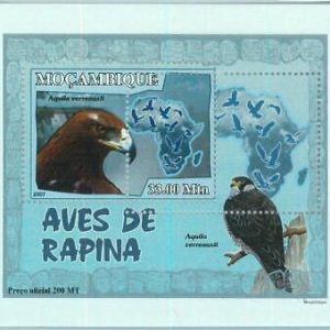 A1146- MOZAMBIQUE ERROR MISPERF Souvenir s: 2007 Birds of Prey, Verreaux's eagle