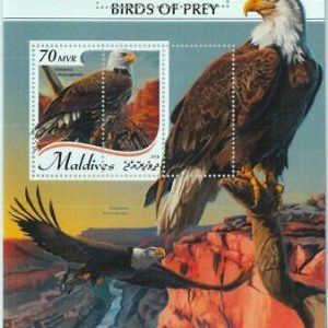 A1116 - MALDIVES, ERROR, MISPERF, Souvenir sheet: 2018, Birds of Prey, Eagles
