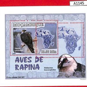 A1145 Mozambique - ERROR MISSPERF  2007 Birds birds of prey eagle  Птицы  Орлы