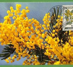 32427 - MONACO -   MAXIMUM CARD - Flowers