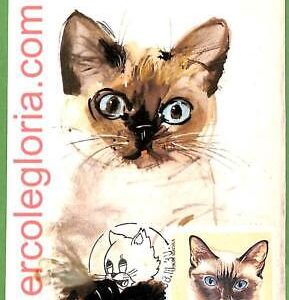 32500 - HUNGARY -  MAXIMUM CARD - 1930 - ANIMALS, CATS