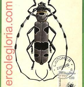 32534 - YUGOSLAVIA -  MAXIMUM CARD - 1966 - INSECTS