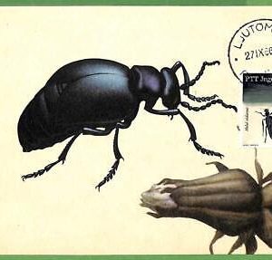 32521 - YUGOSLAVIA  -  MAXIMUM CARD - 1966 - INSECTS