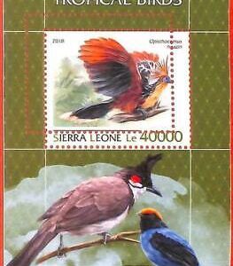 A4776 - SIERRA LEONE - ERROR MIPERF, Sonderblock: 2018. Tropische Vögel