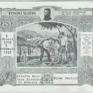 67002 - ISRAEL - VINTAGE Keren Kayemet Le Israel  TREE CERTIFICATE 1949