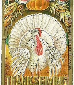 08062 -  VINTAGE POSTCARD --- THANKS GIVING -  EMBOSSED - NICE 1908   Turkey