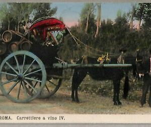 ab0434 - POSTAL VINTAGE - ROMA Ciudad: Wine Carter IV
