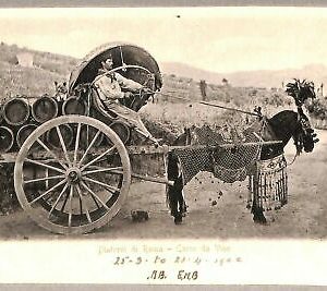 ab0388 - POSTAL VINTAGE - ROMA Ciudad: Carro del vino