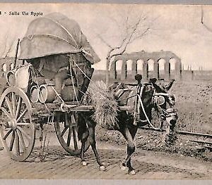 ab0413 - VINTAGE POSTCARD - ROME City: On the Via Appia
