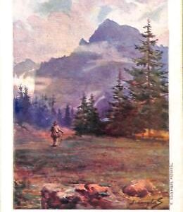 ac6056 - Ansichtskarten VINTAGE POSTCARD - POLAND - Kościelec KOSCIELEC
