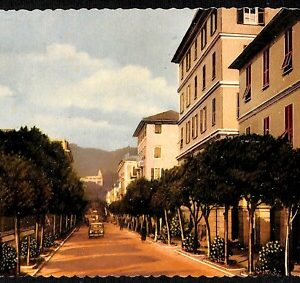 ab2549 - CARTOLINA  D'EPOCA GENOVA  Provincia : Chiavari - Viale Millo