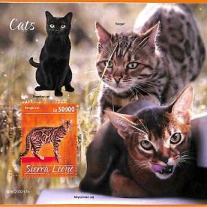 A6776 - SIERRA LEONA, Error, 2020, HOJA DE RECUERDO MISSPERF: Gatos,...