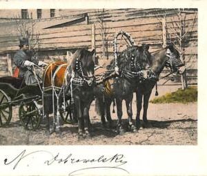 ac0728 - Ansichtskarten VINTAGE  POSTCARD - RUSSIA -  1902 ETHNIC