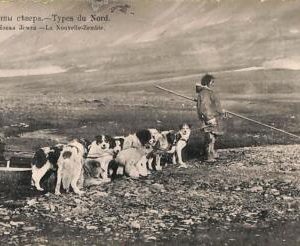 ac0730 - Ansichtskarten VINTAG POSTCARD - RUSSIA -  Novaya Zemlya  -  ETHNIC