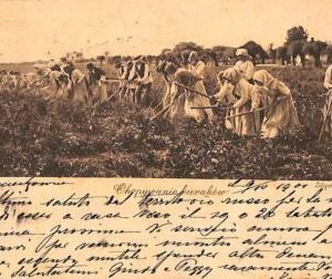 ac0702 - Ansichtskarten VINTAGE  POSTCARD - RUSSIA - 1901 ETHNIC