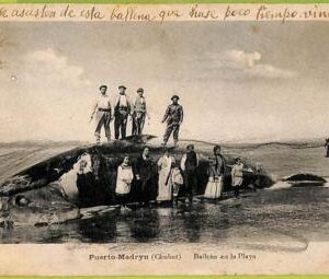 40430 - ARGENTINA - VINTAGE POSTCARD postal antigua - Puerto-Madryn WHALE  1920