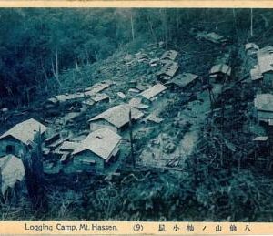 06080 - JAPAN- VINTAGE POSTCARD - MT.HASSEN: LOGGING CAMP!