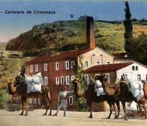 ac1119 - Ansichtskarten  VINTAGE  POSTCARD - TURKEY  - Smyrne