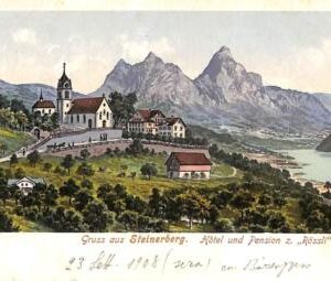 ac1002 - Ansichtskarten VINTAGE  POSTCARD - SWITZERLAND - Gruss aus Steinerberg