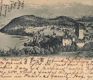 ac1008 - Ansichtskarten VINTAGE  POSTCARD - SWITZERLAND - Spiez - 1900