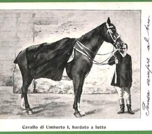 ah0983 - VINTAGE POSTCARD - Umberto I -  ROYALTY  Reali ITALY