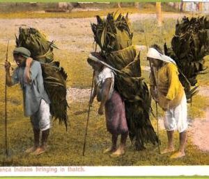 aa6138 - COSTA RICA - Vintage Postcard - Talamanca Indians