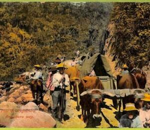 aa6128 - COSTA RICA - Vintage Postcard - Angostura - 1911