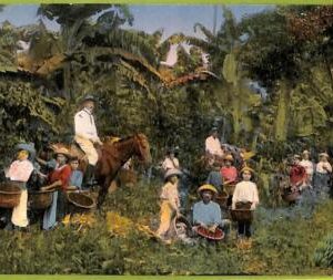 aa6116 - COSTA RICA - Vintage Postcard - Ethnic