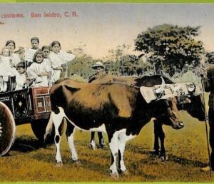 12699 - COSTA RICA - Vintage Postcard  - San Isidro - Country customs