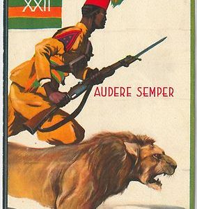 41159 - CARTOLINA d'Epoca - REGIMENTALE COLONIALE - XXII Battaglione ERITREO