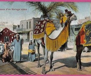 ag2775 - EGYPT - VINTAGE POSTCARD - 1908