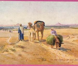 ag2777 - EGYPT - VINTAGE POSTCARD - Helwan, The Desert