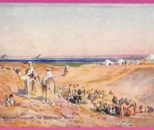 ag2776 - EGYPT - VINTAGE POSTCARD - Ethnic