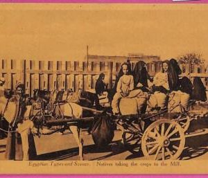 ag2642 - EGYPT - VINTAGE POSTCARD - Ethnic