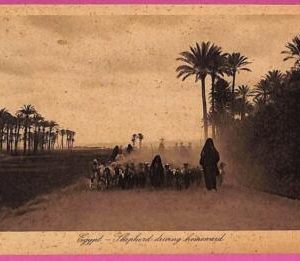 ag2635  - EGYPT - VINTAGE POSTCARD  - Ethnic
