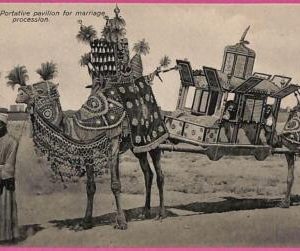 ag2689 - EGYPT - VINTAGE POSTCARD  - Ethnic