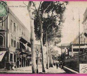 ag2691 - EGYPT - VINTAGE POSTCARD  - Kamel main street - 1904